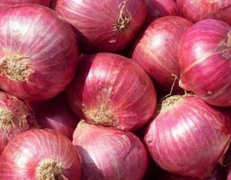 pk-onion