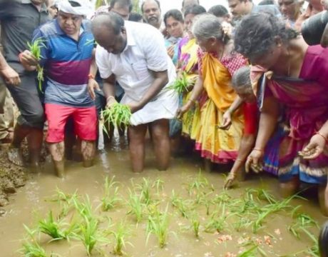 kumaraswamy